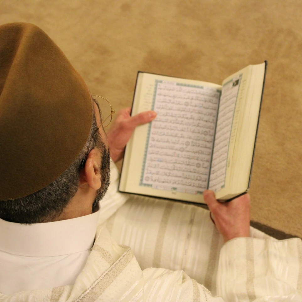 person reading open booked